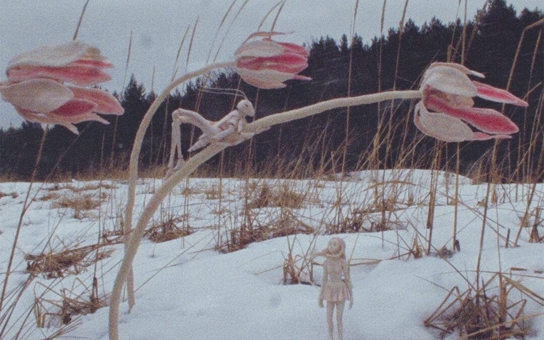 Depois Do Último Voo