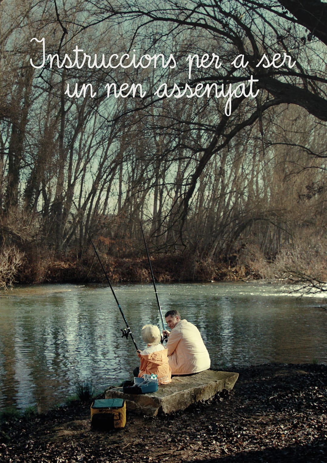 IPSUCE_poster